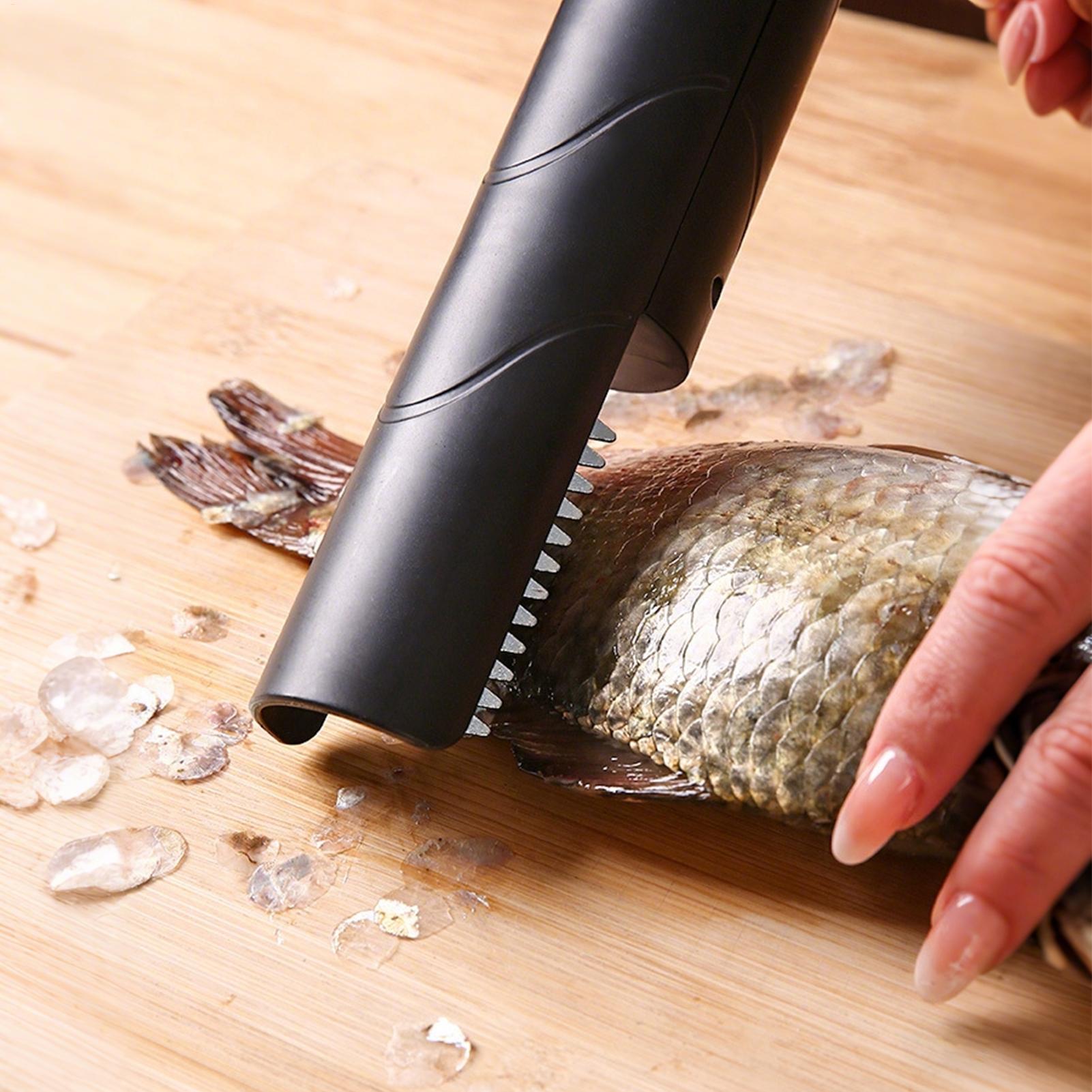 Fruit Grater Cordless Handheld - đánh giá và giá Meal Prep Seafood